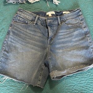 Casual Blue Denim Shorts